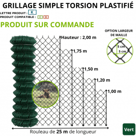 Grillage simple torsion MRT