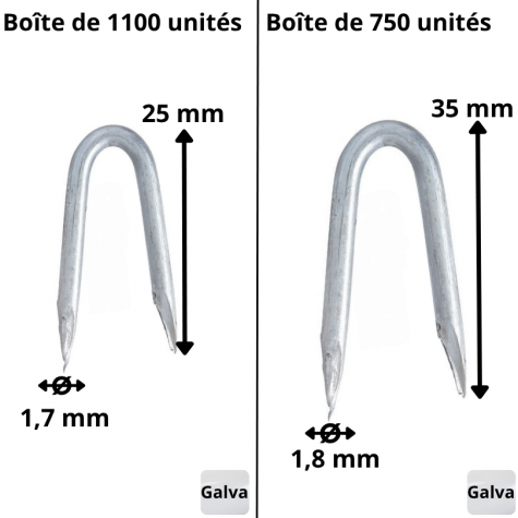 Boîte de Crampillons - Cavaliers