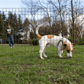 Chien dans un parc avec grillage jarditor classic 100x50