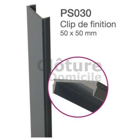 Clip de finition - AMBRE